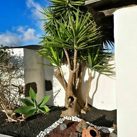 Patios Apartment *
